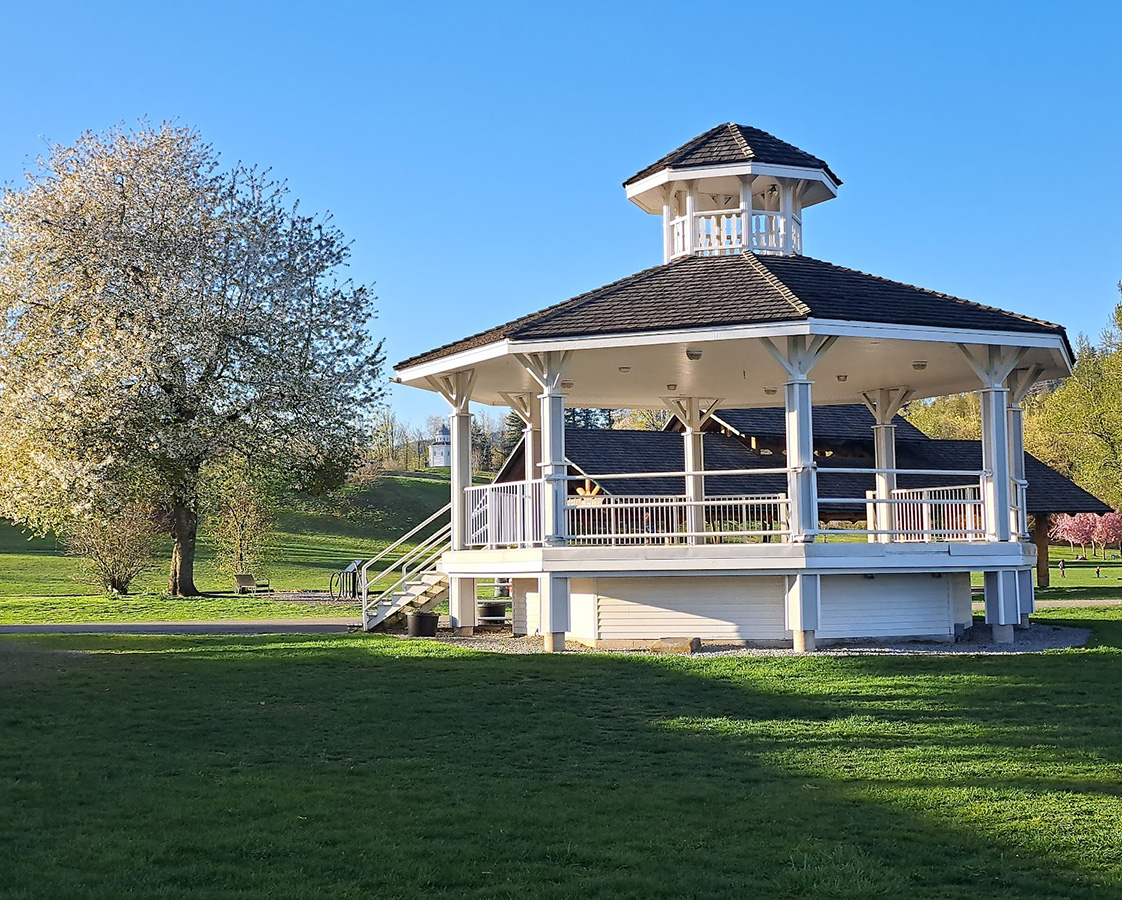 mission well pump system repairs